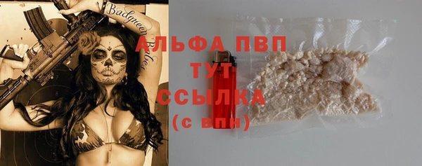 тгк Саяногорск