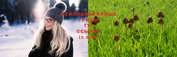 ALPHA PVP Алексин