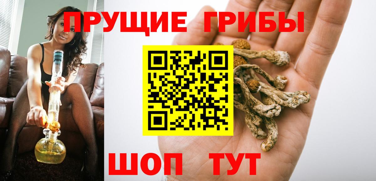 Псилоцибиновые грибы мицелий  Вход с VPN  наркотики  Псилоцибиновые грибы мухоморы  Елабуга 
